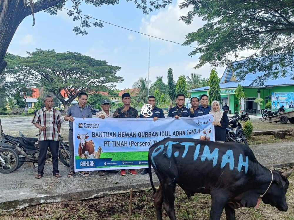 PT Timah Salurkan Hewan Kurban Hingga Wilayah Terpencil Kepulauan Meranti