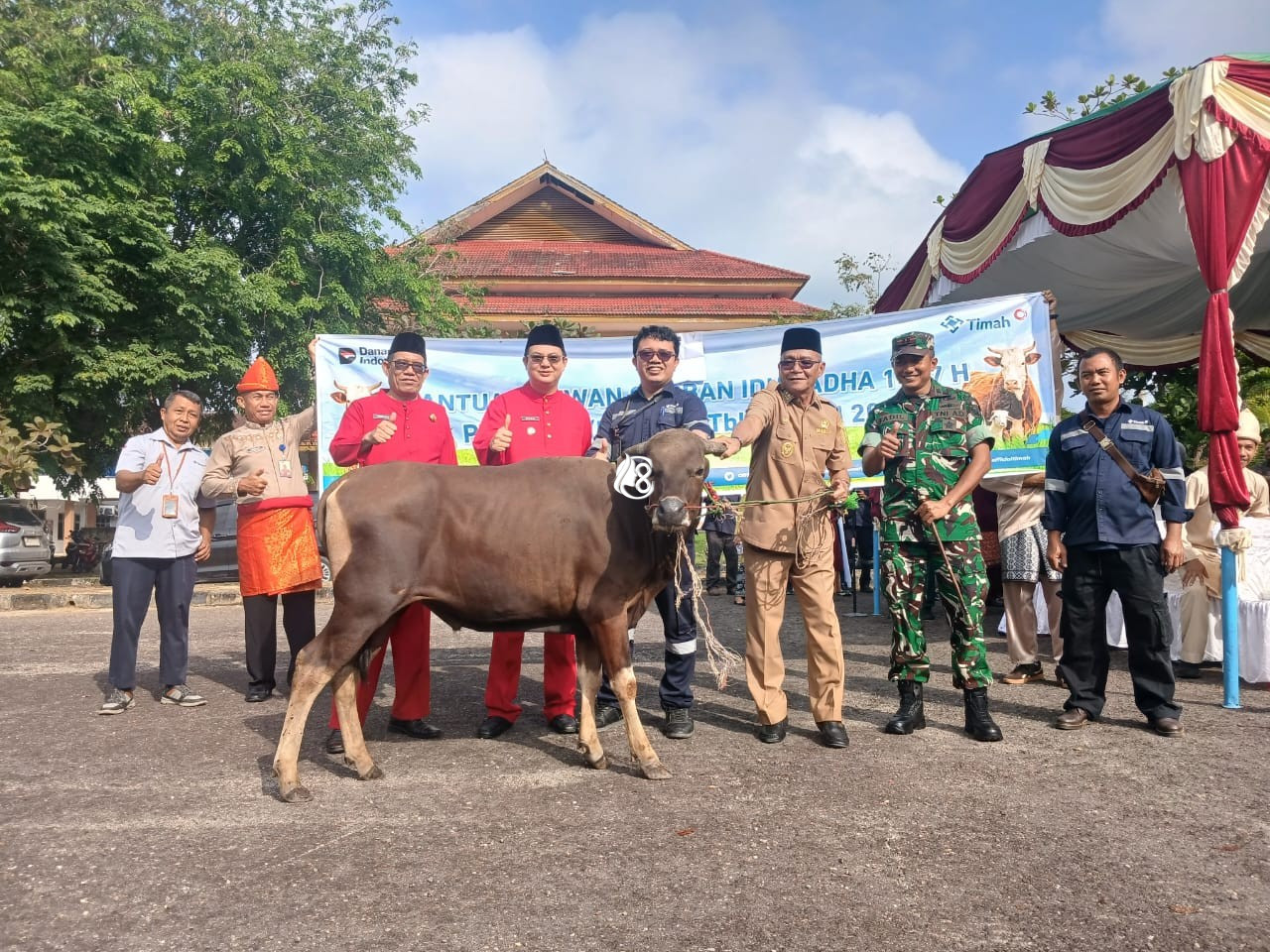 PT Timah Salurkan 39 Sapi Kurban untuk Warga Bangka Barat pada Idul Adha 1447 H
