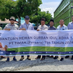 PT Timah Distribusikan 39 Hewan Kurban untuk Masyarakat Bangka Barat