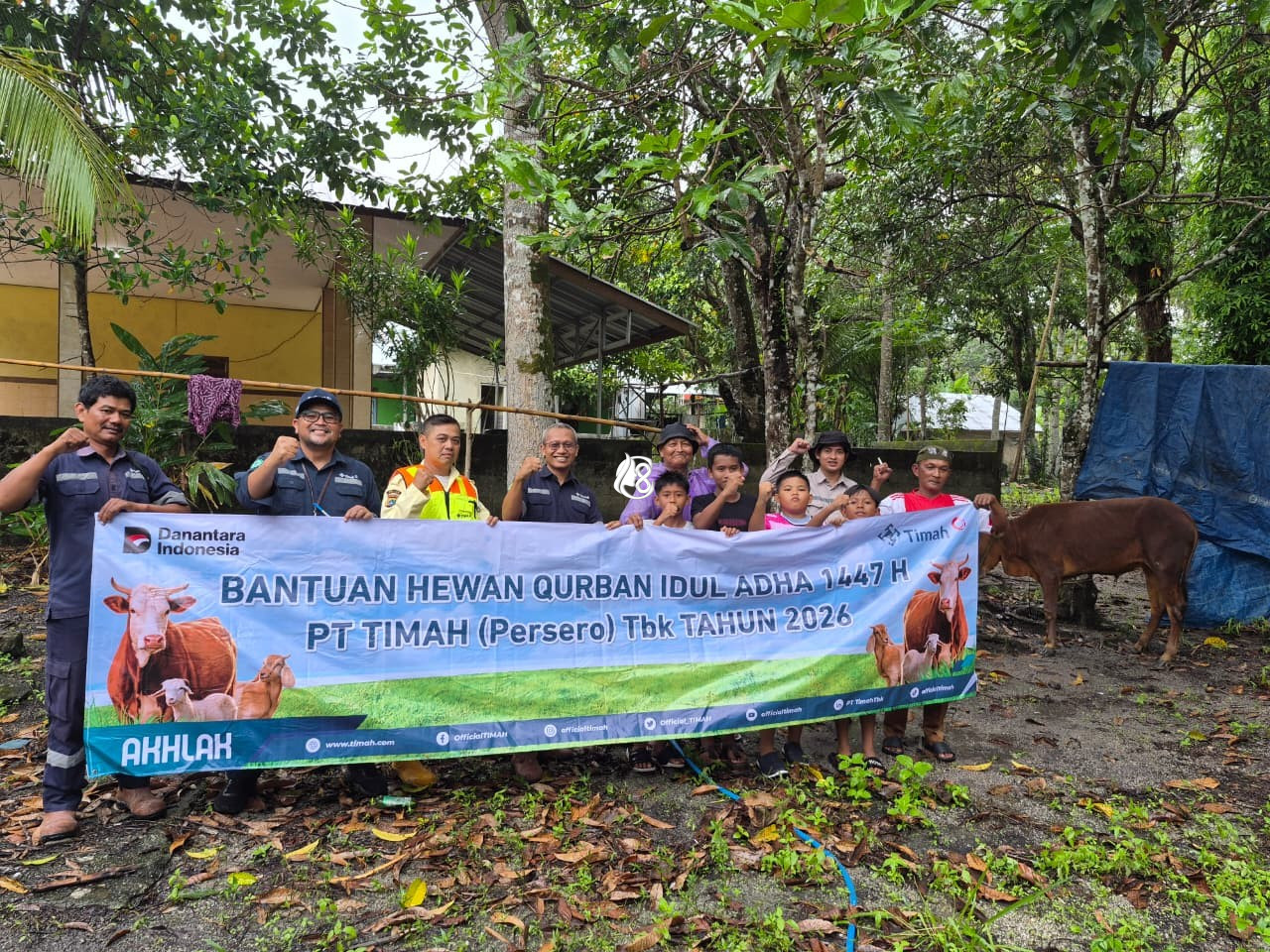 PT Timah Salurkan 46 Sapi Kurban untuk Masyarakat Belitung dan Belitung Timur