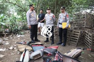 Polresta Tangerang Gerebek Arena Sabung Ayam di Jayanti, Puluhan Motor dan Ayam Aduan Diamankan