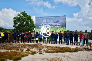 Dukung Rehabilitasi Lingkungan di Belinyu PT Timah Tanam 500 Pohon di Sempadan Sungai Romodong