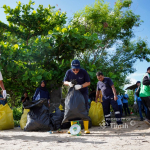 HLHS 2026: Dorong Kesadaran Pelestarian Pesisir PT Timah Gelar Aksi Bersih Pantai Tambak Udang