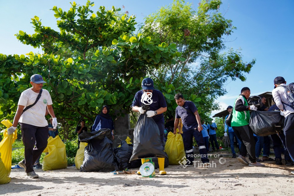 HLHS 2026: Dorong Kesadaran Pelestarian Pesisir PT Timah Gelar Aksi Bersih Pantai Tambak Udang