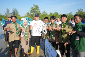 Hari Mangrove Sedunia Pemprov Babel Tanam 3.300 Mangrove di Bangka Tengah