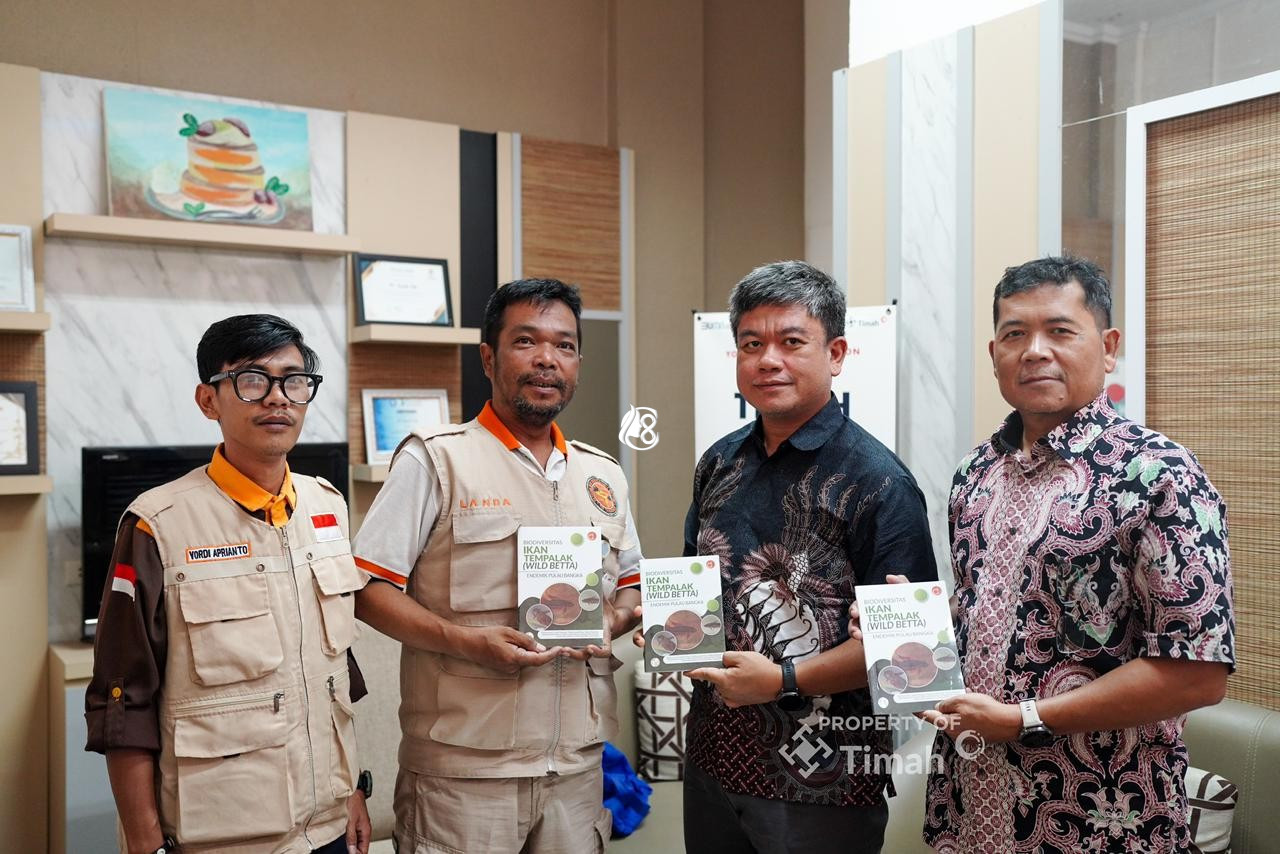 PT Timah Gandeng The Tanggokers Perkuat Pelestarian Ikan Endemik Pulau Bangka