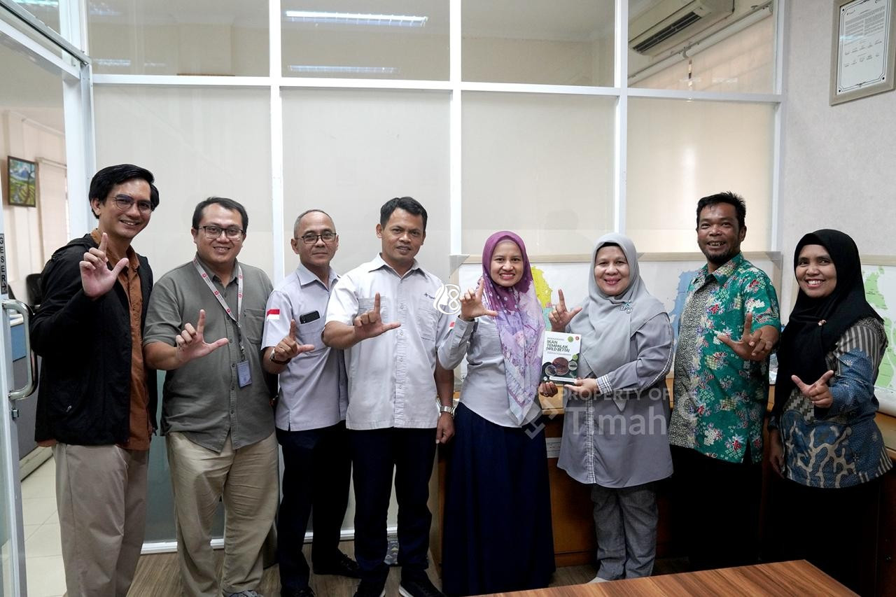 PT Timah Dukung Riset Konservasi Ikan Endemik Bangka, Fokus Selamatkan Betta Burdigala