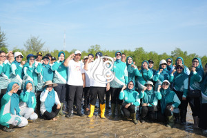 Peringati HKG PKK dan HLS 2026 Pemprov Babel Tanam Mangrove di Bangka Tengah