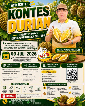 Pemprov Babel Gelar Kontes Durian 2026, Bidik Pengembangan Varietas Unggul dan Promosi ke Pasar Nasional