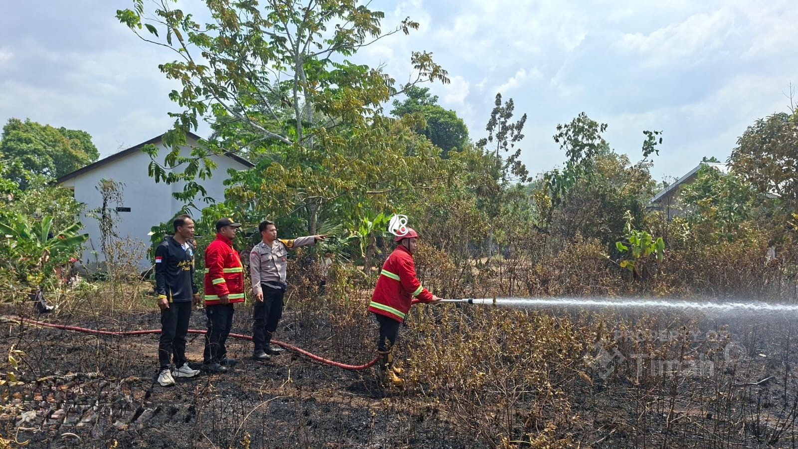 PT Timah Tangani 97 Karhutla di Babel Kurun Waktu 8 Bulan