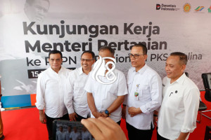 Holding Perkebunan Nusantara Perkuat Program B50, PTPN IV PalmCo Serap 1,73 Juta Ton TBS Petani