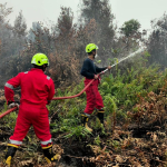 PT Timah Kerahkan 15 Fire Fighter Bantu Tangani Karhutla di Kalbar