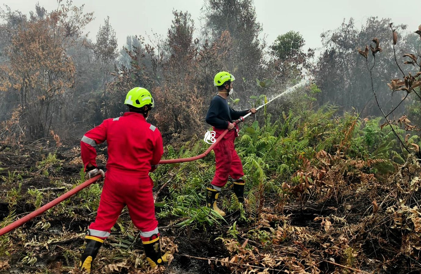 PT Timah Kerahkan 15 Fire Fighter Bantu Tangani Karhutla di Kalbar