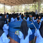 Belajar dari Lahan Pascatambang, Siswa SMK IT Jamalullail Belinyu Kenali Teknologi Bioflok di Air Jangkang