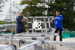 81 Atraktor Cumi Ditenggelamkan di Bangka, PT Timah Dorong Habitat Laut
