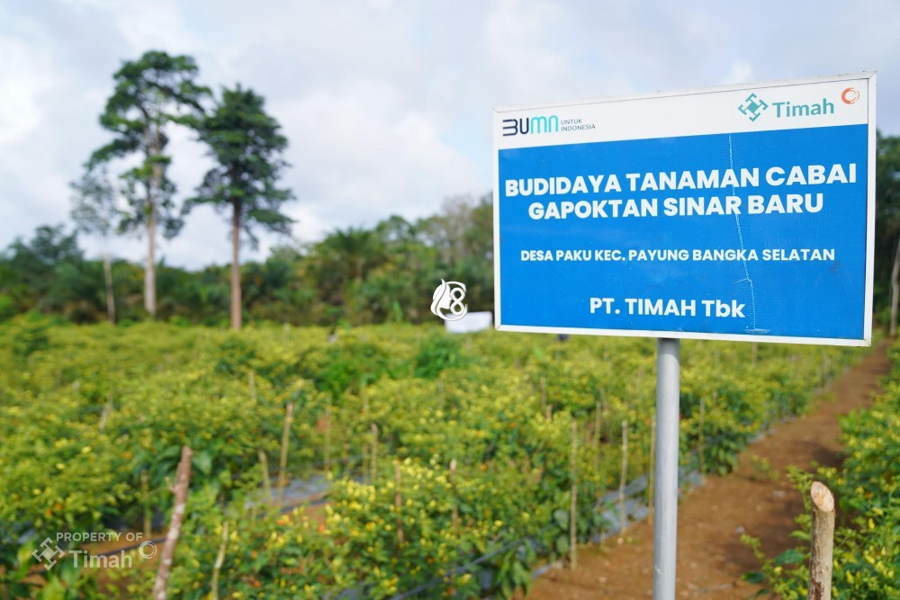 PT Timah Perkuat Ketahanan Pangan melalui Pengembangan Pertanian dan Peternakan