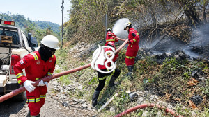 Aktifkan Emergency Management Team, NHM Perkuat Penanganan Karhutla